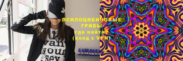 соль ск Алексеевка