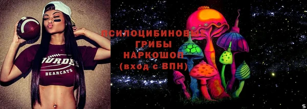 молекула духа Алексин