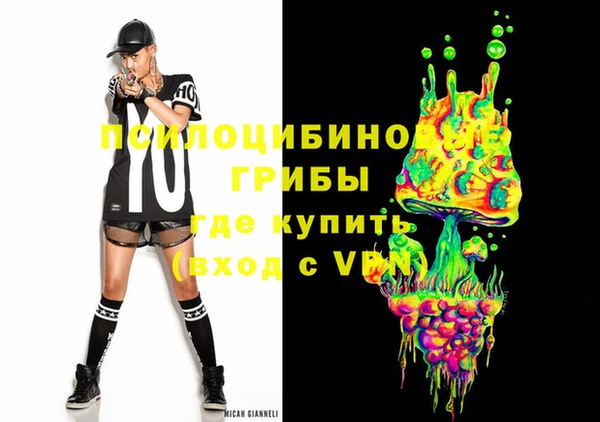 соль ск Алексеевка