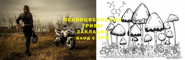 молекула духа Алексин