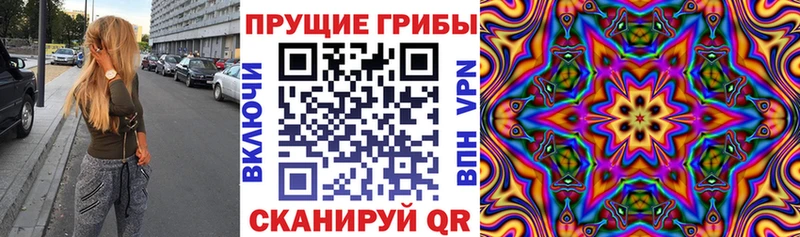 Галлюциногенные грибы MAGIC MUSHROOMS  даркнет сайт  мега tor  Анжеро-Судженск 