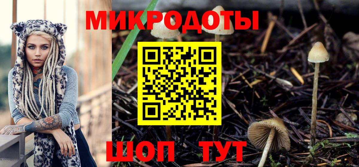 Анжеро-Судженск  Псилоцибиновые грибы мицелий  Вход с VPN 
